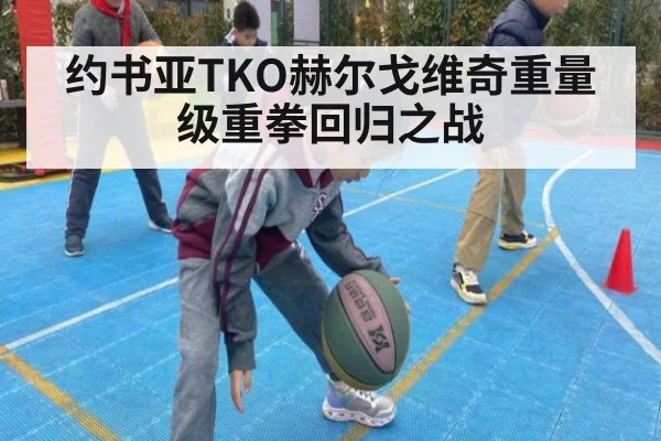 约书亚TKO赫尔戈维奇重量级重拳回归之战